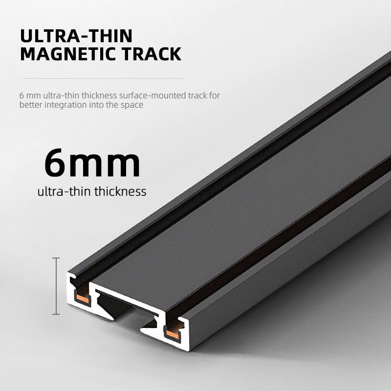 ST1 Series 3CCT Black White Ul - đánh giá và giá Outdoor Lighting Track