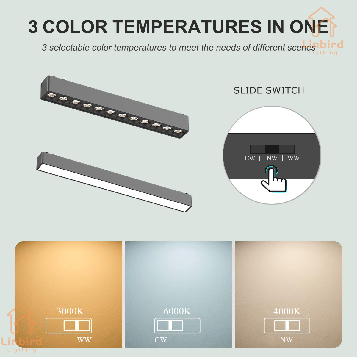 ST1 Series 3CCT Black White Ul - đánh giá và giá Outdoor Lighting Track